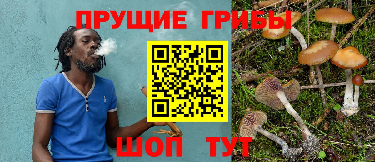 Отрадное  Псилоцибиновые грибы Magic Shrooms  Вход с VPN 