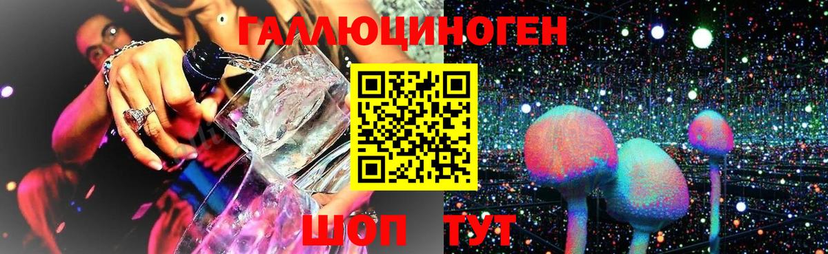 Псилоцибиновые грибы Psilocybe Отрадное